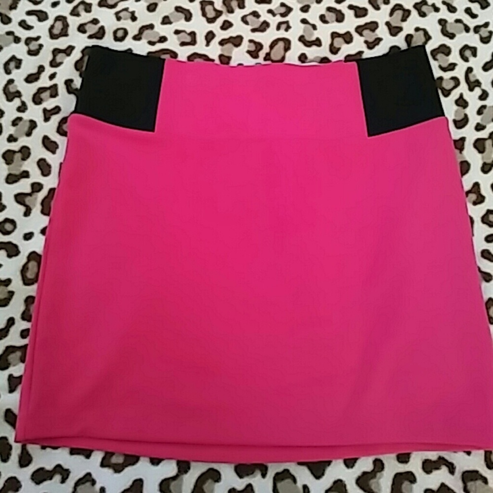 Charlotte Russe Pink Skirt